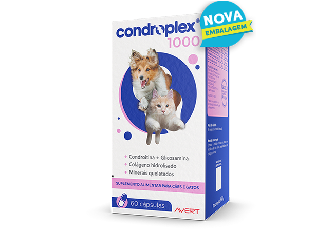 condroplex1000cap-1637617071_1660761693