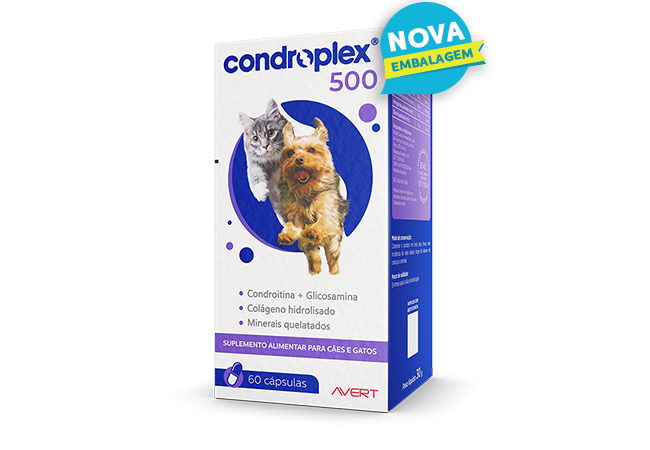 condroplex500cap-1637609620_1660761209